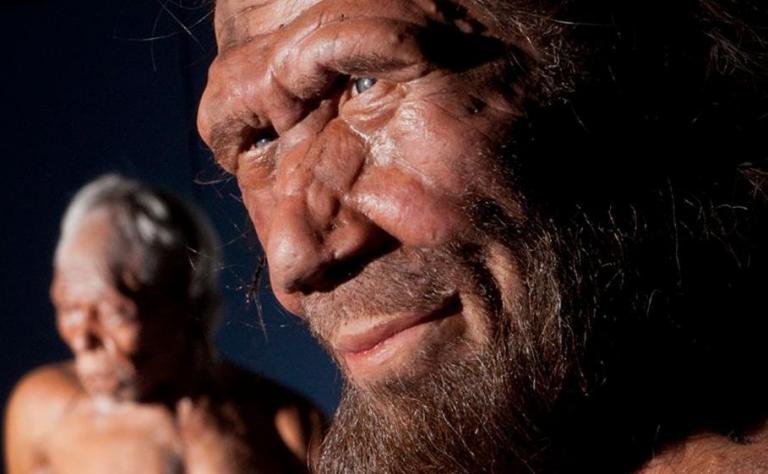 Η υπογονιμότητα των γυναικών Νεάντερταλ, πιθανή αιτία της εξαφάνισης του είδους