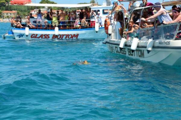 INSETE report: Direct contribution of tourism to economy rises by 13.3 percentage points in 2018