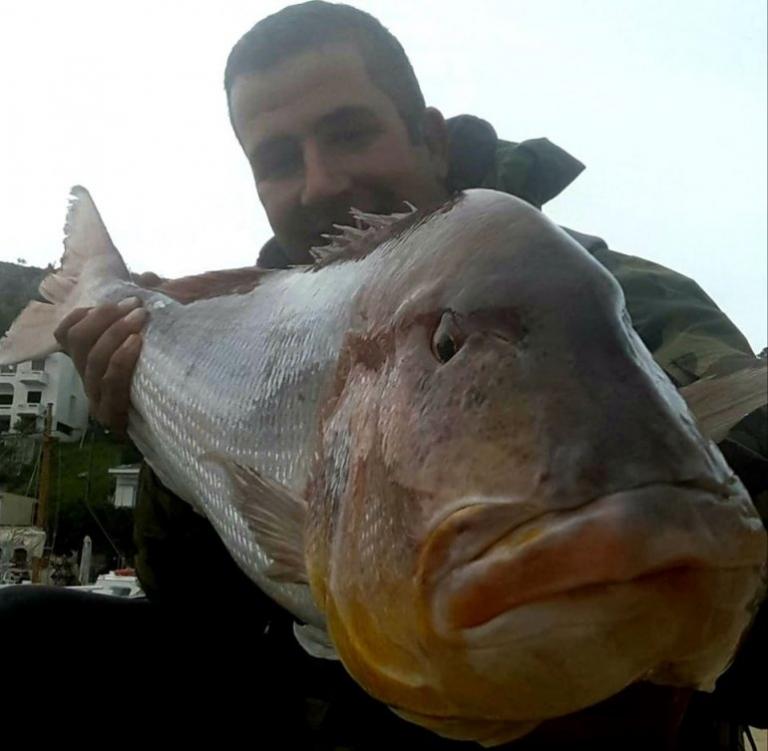 Χίος : Επιασε με κάθετη συναγρίδα 15,5 κιλών! (εικόνες)