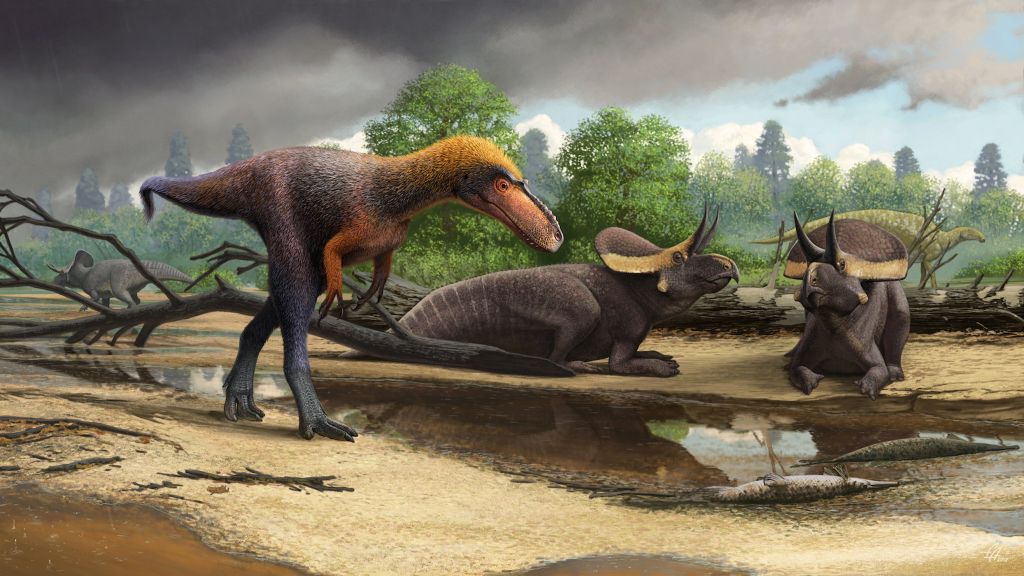 Ανακαλύφθηκε στις ΗΠΑ μικρομεσαίος πρόγονος του Τυραννόσαυρου