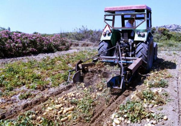 Στους 6.330 οι δικαιούχοι για τη βιολογική γεωργία