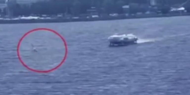 Ιπτάμενο δελφίνι παρασύρει σέρφερ στη Ρωσία