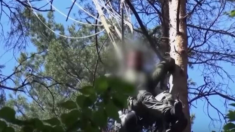 Σύγκρουση Eurofighter: Η στιγμή που εντοπίζεται ο πιλότος στην κορυφή ενός δέντρου
