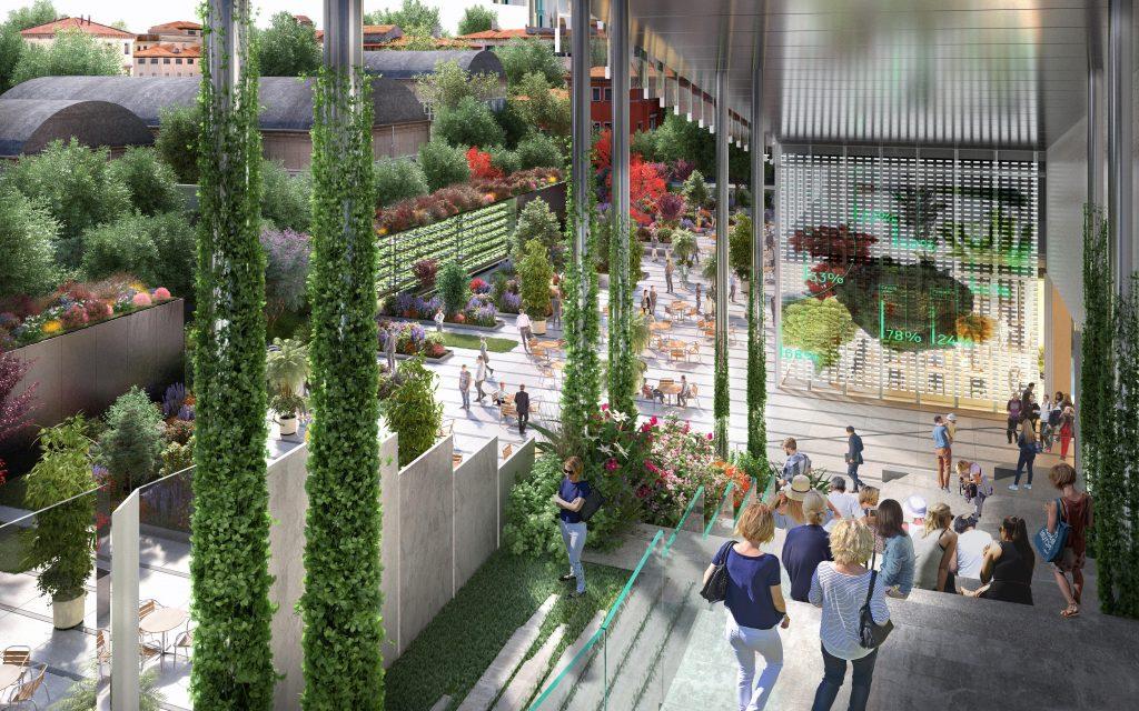 Αστικός αμπελώνας στο κέντρο του Μιλάνου