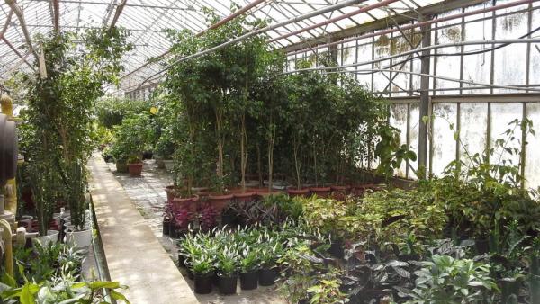 Γεωπονικό Πανεπιστήμιο: Το πολύχρωμο μυστικό