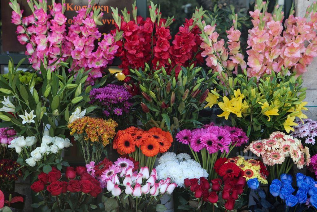 Λουλούδια στο σπίτι για να καταπολεμήσετε το στρες