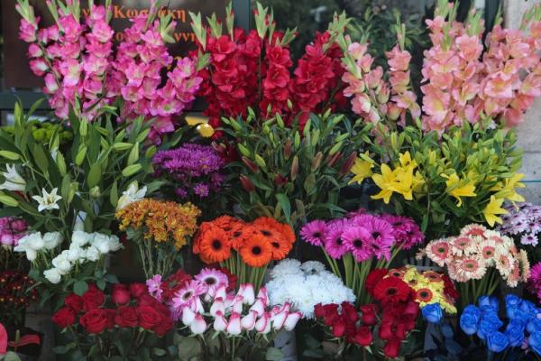 Λουλούδια στο σπίτι για να καταπολεμήσετε το στρες