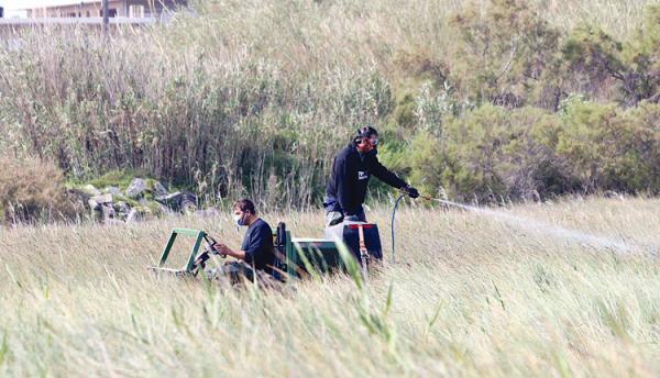 Θα είναι ένα δύσκολο καλοκαίρι στην Κρήτη με τα κουνούπια