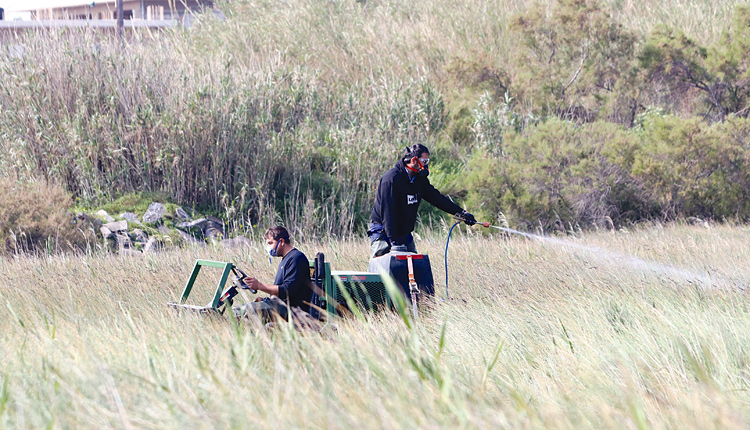 Θα είναι ένα δύσκολο καλοκαίρι στην Κρήτη με τα κουνούπια