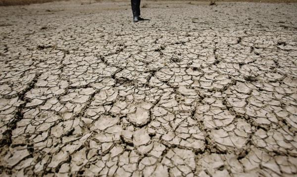 Παγκόσμια Ημέρα για την καταπολέμηση της απερήμωσης και της ξηρασίας