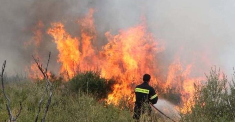 Φωτιά στο Λαγονήσι – Μεγάλη κινητοποίηση της Πυροσβεστικής