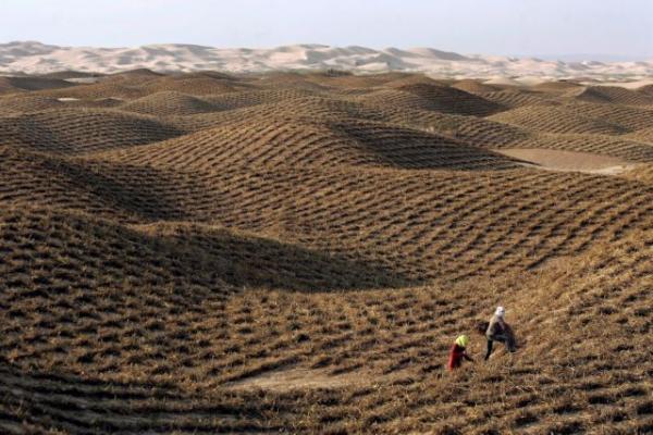 Κίνδυνος για ερημοποίηση του 1/3 των εδαφών της Ελλάδας