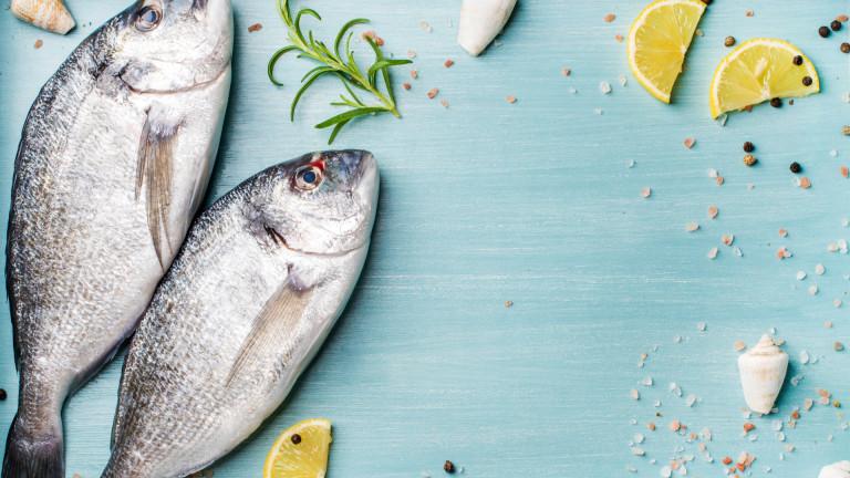 Βουλγαρικά ΜΜΕ : Η Ελλάδα εισάγει ψάρια από την Τουρκία