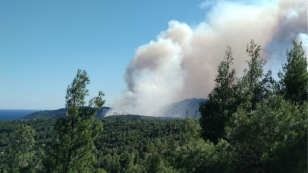 Φωτιά στο δάσος Δραγουντέλι, στη Βουρβουρού Χαλκιδικής