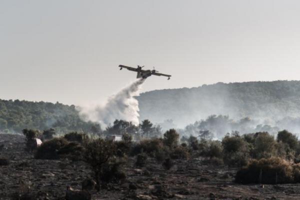 Σε ύφεση η φωτιά στον Πισσώνα της Εύβοιας