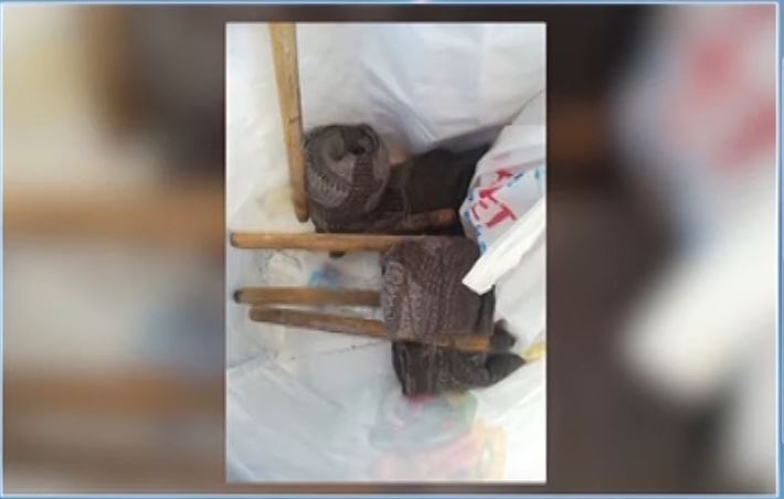 Επίθεση 65χρονου με γκαζάκια στη Βουλή – Συνελήφθη ο δράστης