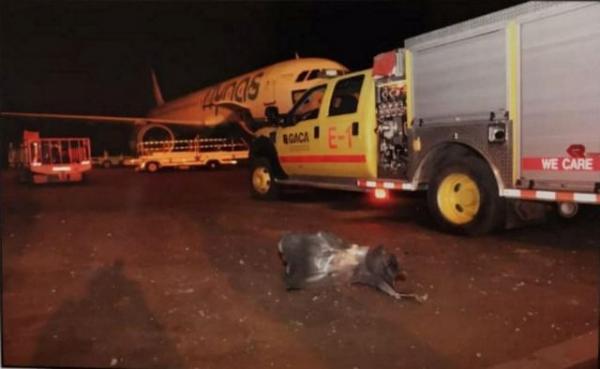 Νεκρός και τραυματίες από επίθεση με drone σε αεροδρόμιο της Σ. Αραβίας
