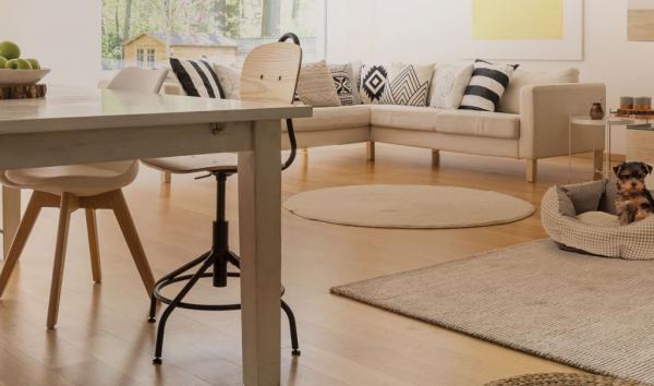 Airbnb Plus: Πώς μια κατοικία μπορεί να γίνει πιο προσοδοφόρα