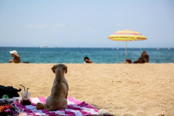 Καλοκαιρινός καιρός την Κυριακή – Πού θα χτυπήσει «κόκκινο» ο υδράργυρος