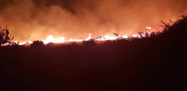 Εκκενώθηκαν σπίτια στην Κάρυστο – Μαίνεται η μεγάλη πυρκαγιά (εικόνες)