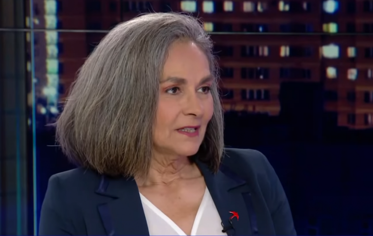 Σ. Σακοράφα στο One Channel: Μοναδική φωνή αντιπολίτευσης το ΜέΡΑ25