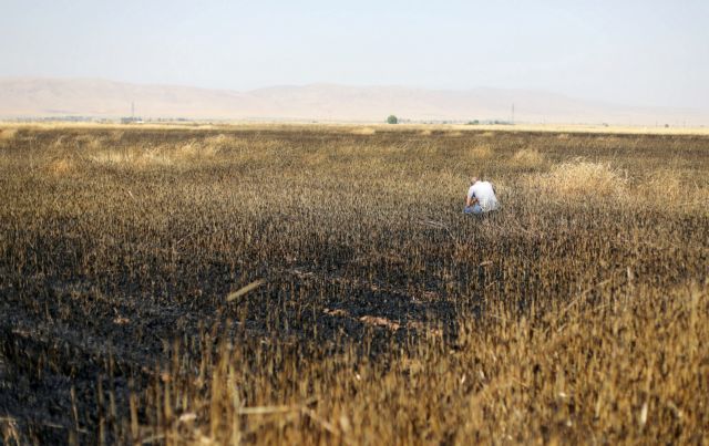 Κούρδοι : Το Ισλαμικό Κράτος καίει τις καλλιέργειές μας για εκδίκηση