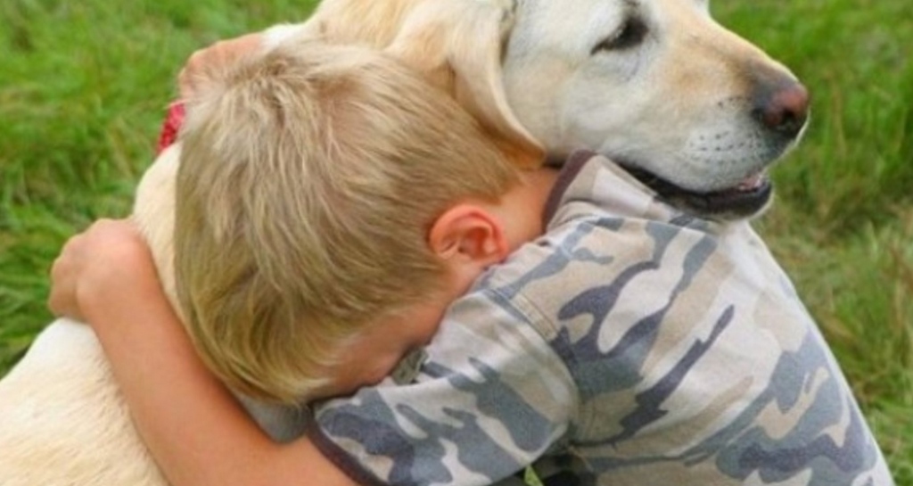 Επικίνδυνος μύθος η αντίληψη πως η πολλή καθαριότητα βλάπτει