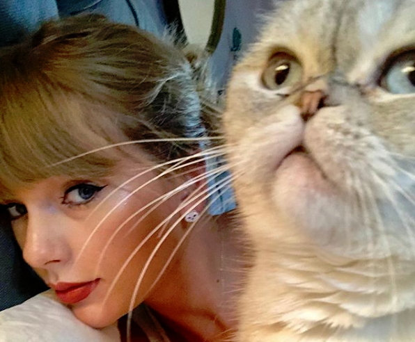 Η Τέιλορ Σουίφτ και η αγάπη της για τις γάτες