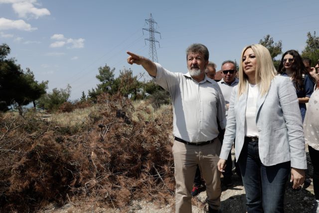 Γεννηματά απ’ το Σέιχ Σου: Ολέθρια αποτελέσματα από την ανικανότητα της κυβέρνησης