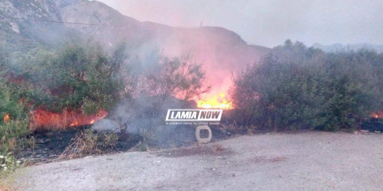 Συναγερμός για πυρκαγιά κοντά στο hot spot Θερμοπυλών [Εικόνες]
