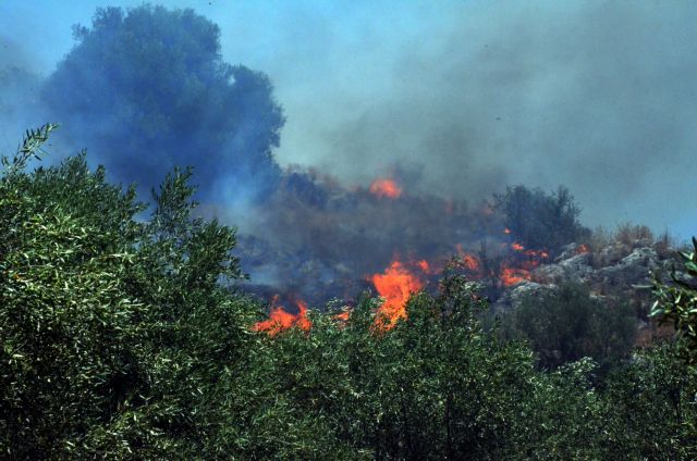 Μάχη με τις φλόγες στον Κιθαιρώνα - Σε ύφεση η πυρκαγιά