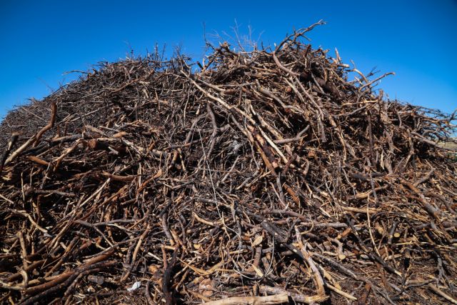 Μάτι: Σε ένα μήνα θα έχει καθαριστεί το οικόπεδο «πυριτιδαποθήκη»