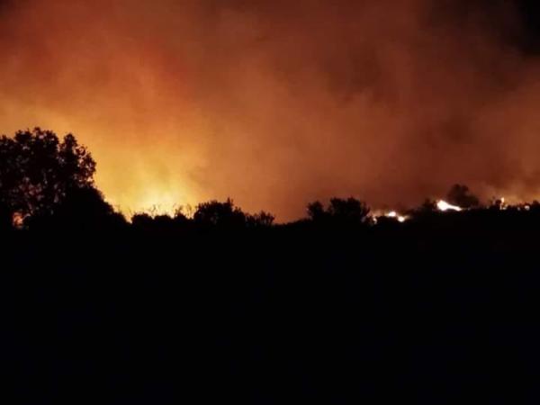 Μεγάλη φωτιά στην Εύβοια: Μάχη σε τρία μέτωπα – Νέες εκκενώσεις χωριών