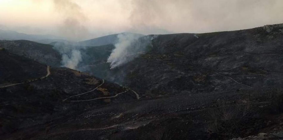 Εύβοια: Εικόνες καταστροφής από την πύρινη λαίλαπα - Μία σύλληψη για εμπρησμό