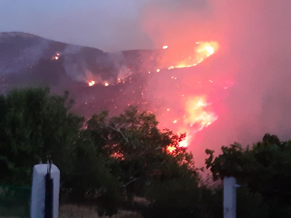 Πύρινος εφιάλτης στην Εύβοια: Νέα πυρκαγιά στην περιοχή Τραχήλι - Συγκλονιστικές εικόνες