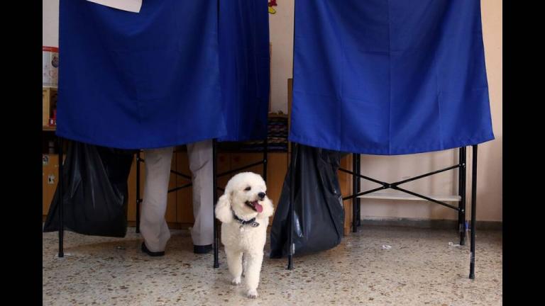 Ο τετράποδος… ψηφοφόρος που έκλεψε την παράσταση
