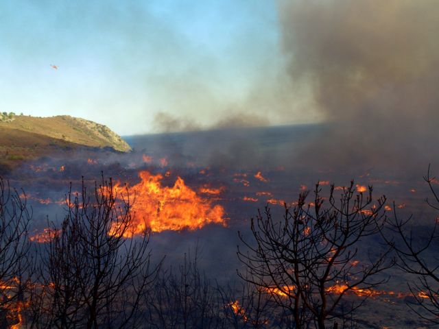 Αντιπεριφερειάρχης Λακωνίας: Η φωτιά κινείται προς οικισμό κοντά στον Άγιο Κυπριανό