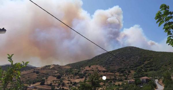 Κάτοικος Ερέτριας στο One Channel: Καίγονται σπίτια στο Μακρυχώρι