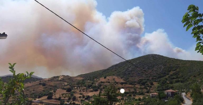 Κάτοικος Ερέτριας στο One Channel: Καίγονται σπίτια στο Μακρυχώρι