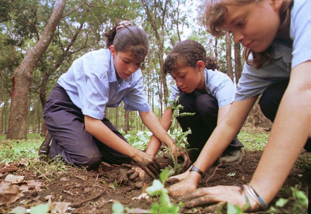 Φυτέψτε ένα τρισεκατομμύριο νέα δένδρα για να «φρενάρει» η κλιματική αλλαγή
