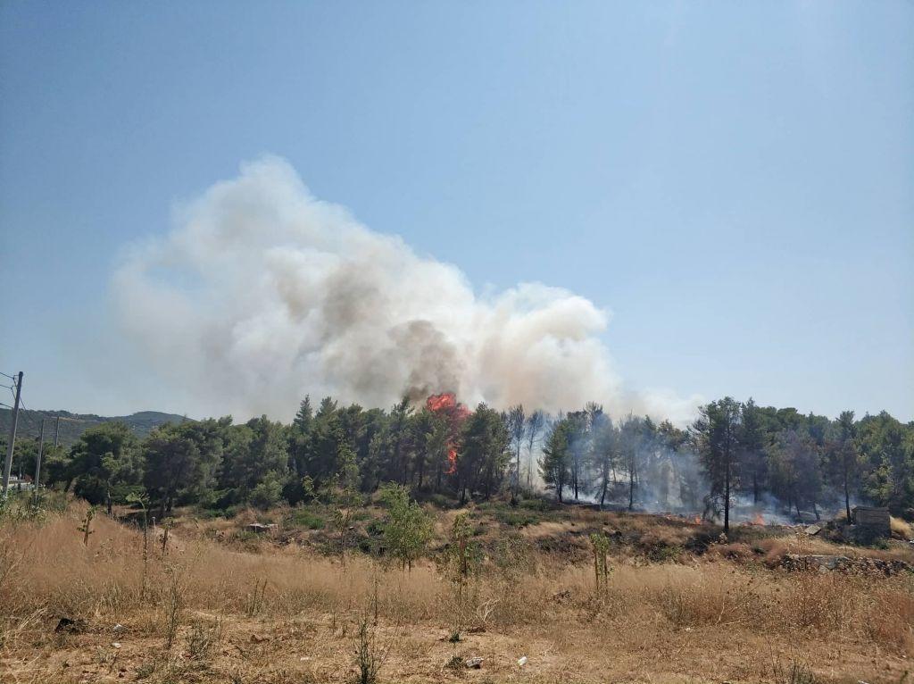 Ερωτηματικά για τα «ταυτόχρονα» πύρινα μέτωπα σε Ραφήνα και Βαρνάβα