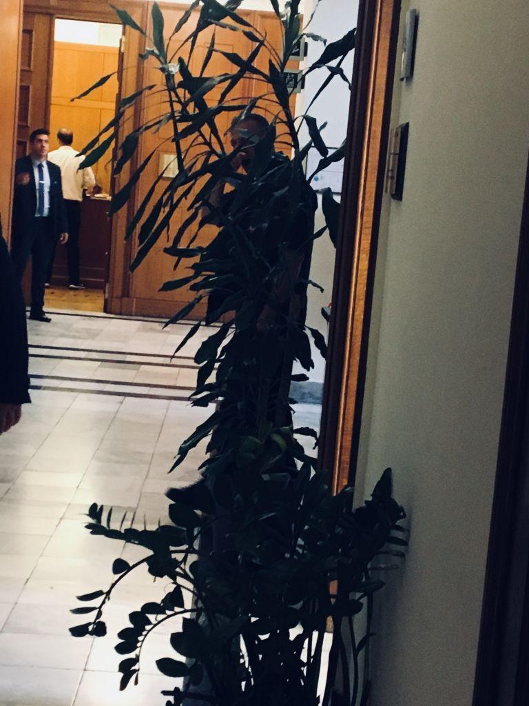 Οι γλάστρες στον Τασούλα