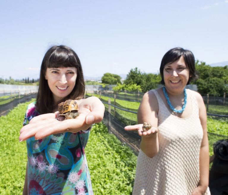 Μαρία Βλάχου: Η ζωή της γυναίκας – σύμβολο των start-ups επιχειρήσεων που έφυγε στα 39 της χρόνια