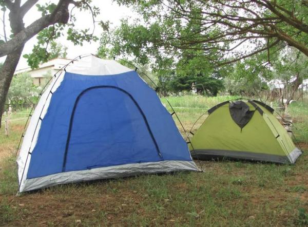 Απίστευτο: Νοικιάζουν… σκιές δέντρων μέσω Airbnb – Δεν περιλαμβάνεται η σκηνή!