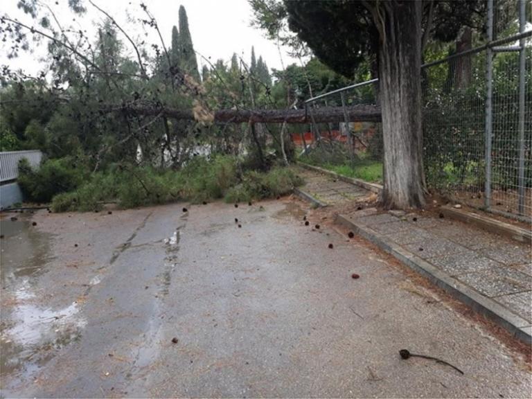 Πρ. Ξενοδόχων Χαλκιδικής: Γίνονται εντατικές προσπάθειες να επιδιορθωθούν οι ζημιές