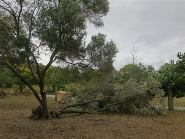 H συγκλονιστική ιστορία πατέρα και γιου που σκοτώθηκαν στη Χαλκιδική