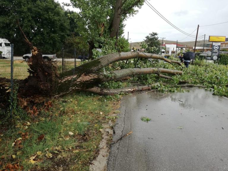 Θυελλώδεις άνεμοι και χαλάζι στη Θεσσαλία – Μεγάλες καταστροφές σε καλλιέργειες