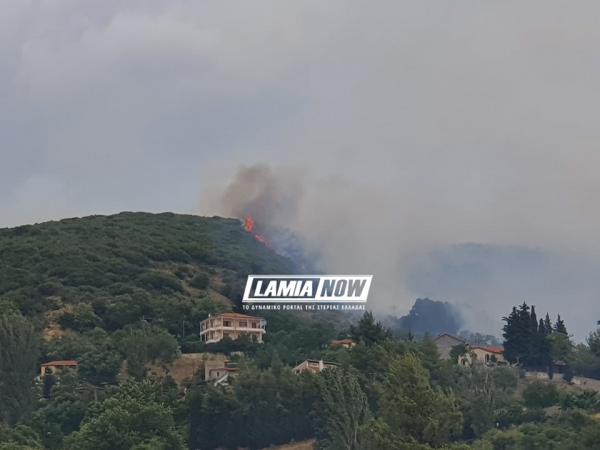 Ανεξέλεγκτη η φωτιά στη Φθιώτιδα – Εκκενώνεται το χωριό Δίβρη