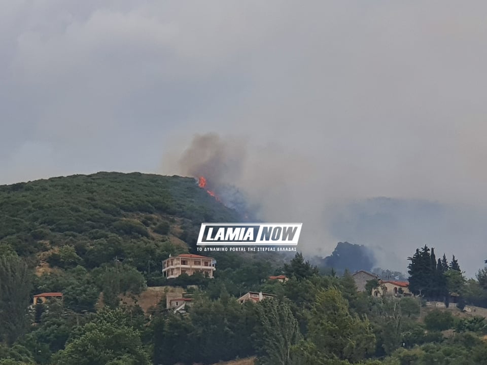 Ανεξέλεγκτη η φωτιά στη Φθιώτιδα - Εκκενώνεται το χωριό Δίβρη