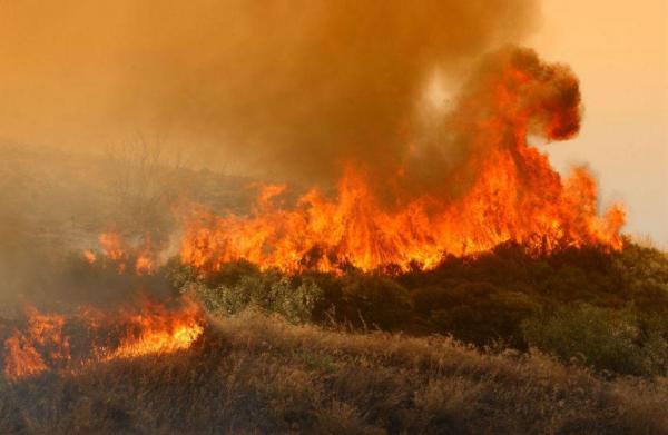 Πυρκαγιά σε δασική έκταση στη Μάνη